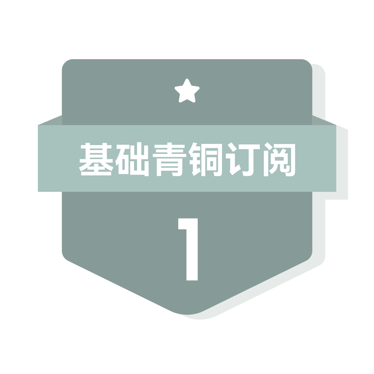 基础青铜订阅